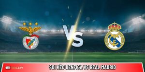 Soi kèo Benfica vs Real Madrid, 3h ngày 29/01 – Champions League